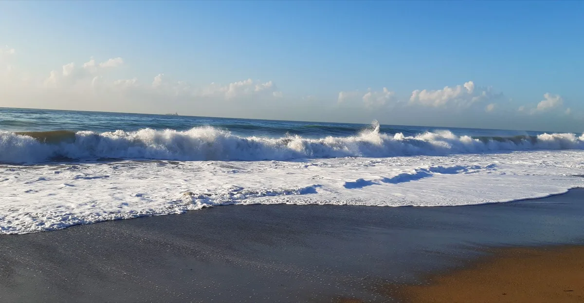 Waves along the Cape Cod coastline